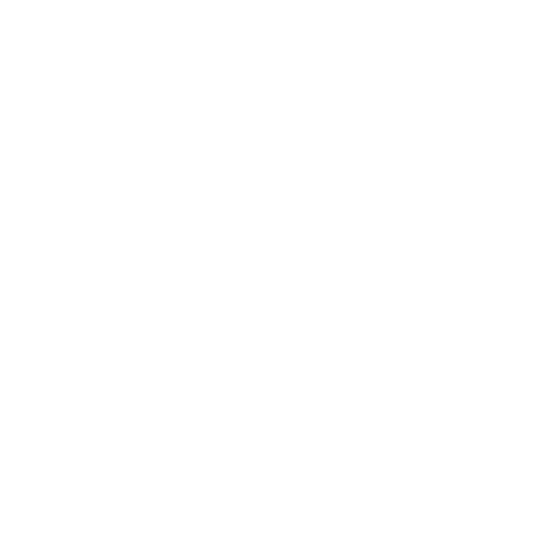 witte euro
